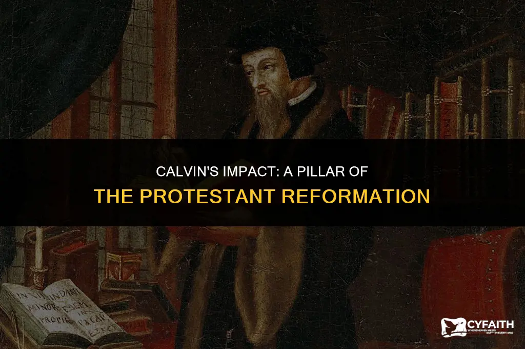 what role did calvin play in the protestant reformation