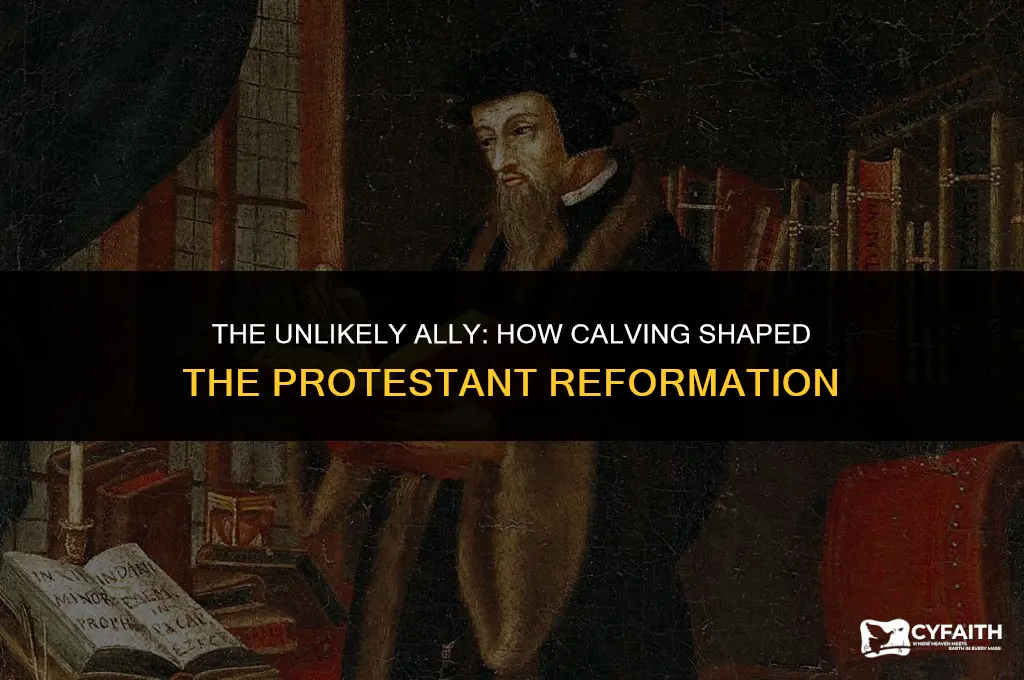 what role did calving play in the protestant reformation