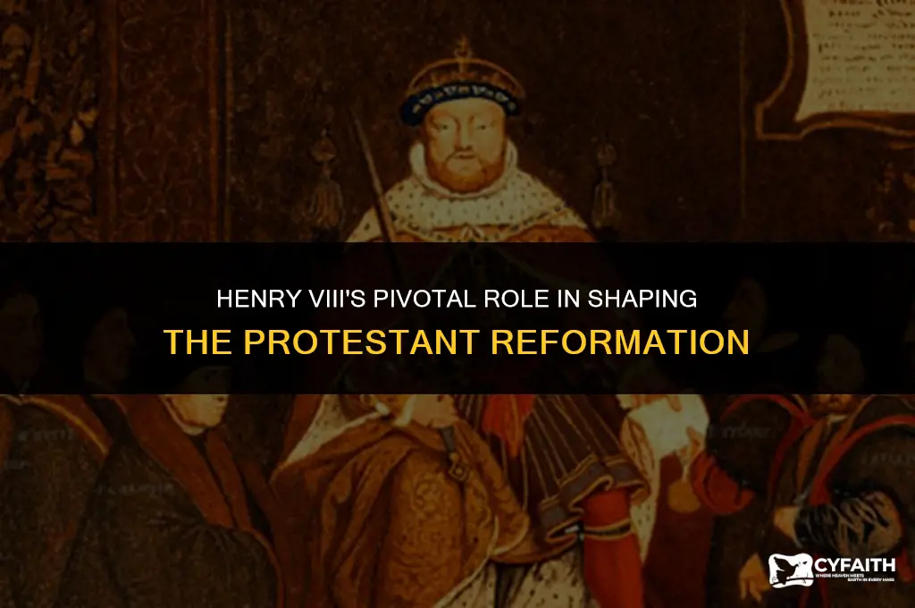 what role did henry viii play in the protestant reformation