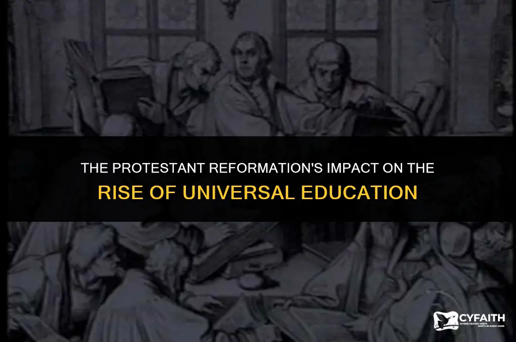 what role did the protestant reformation play in universal education
