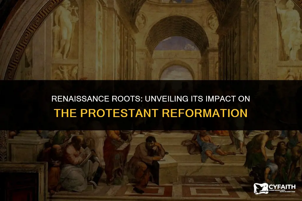 what role did the renaissance play in the protestant reformation