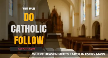Understanding Catholic Faith: Key Principles and Practices Followed by Believers