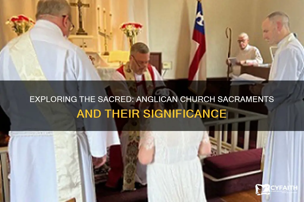 what sacraments are celebrated in the anglican church