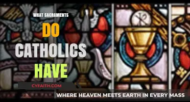 Understanding the Seven Sacraments in Catholic Faith and Practice