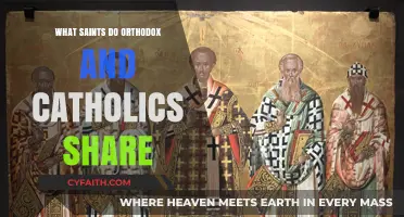 Shared Saints: Exploring Common Venerations in Orthodox and Catholic Traditions