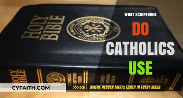 Understanding the Sacred Texts: What Scriptures Do Catholics Use?