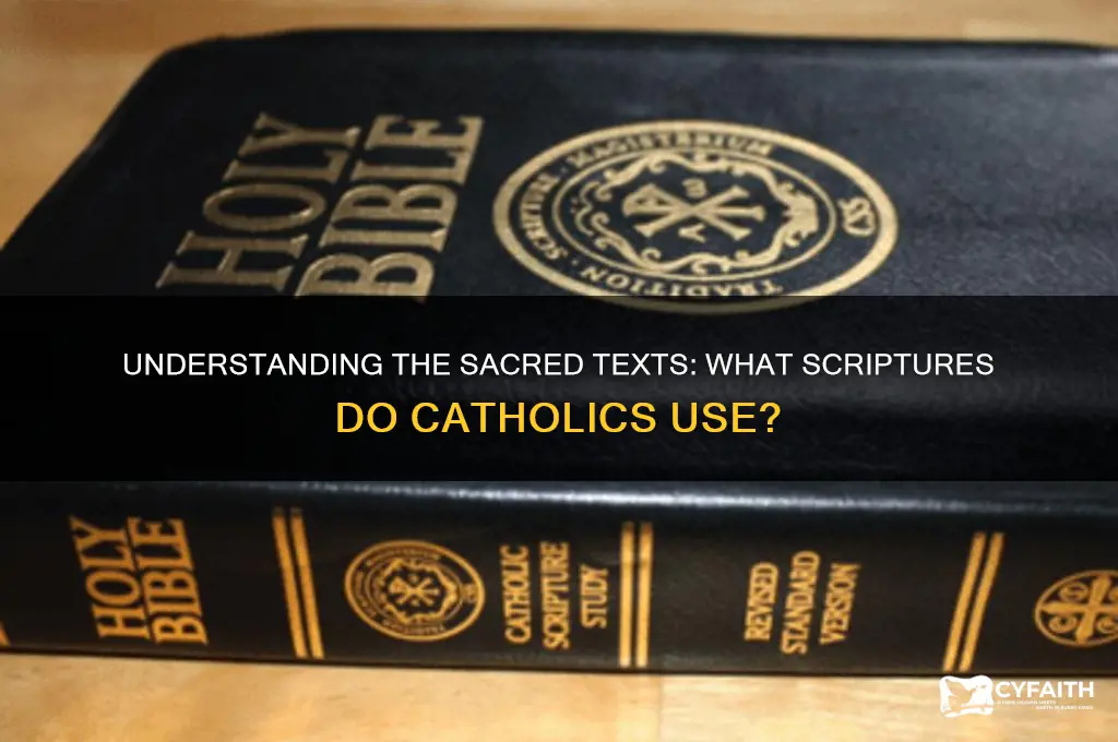 what scriptures do catholics use