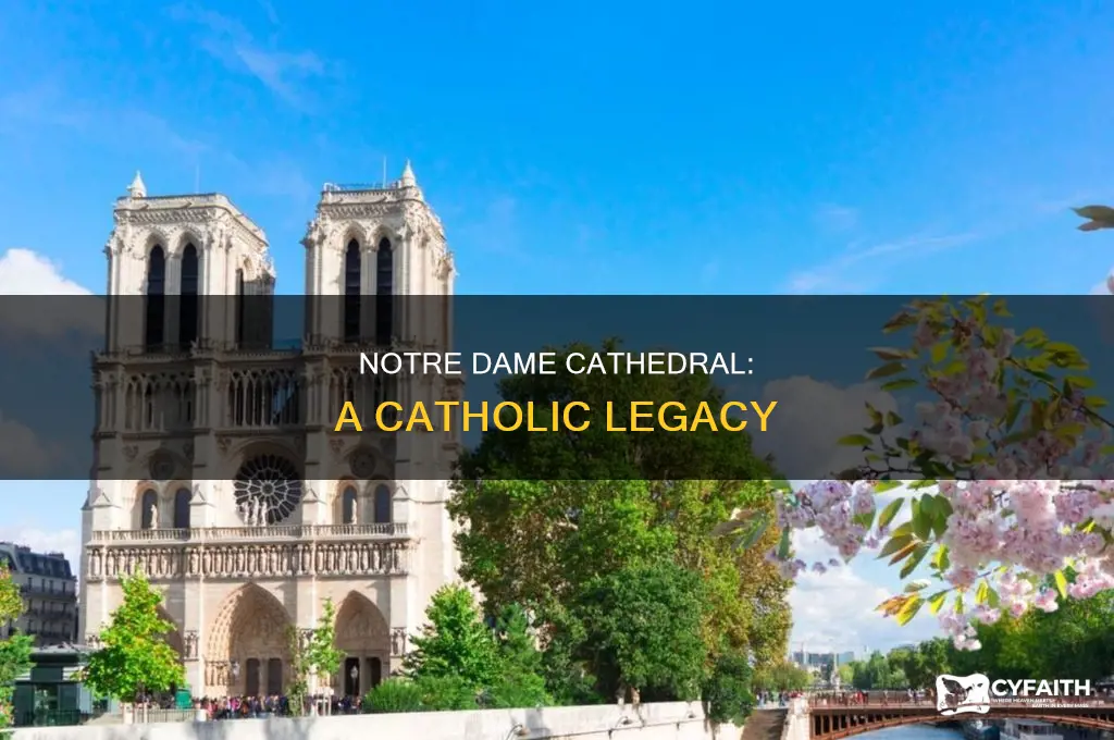 what sect catholic donomiation is notre dame cathedral