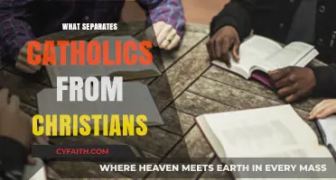 Catholics vs. Christians: Key Differences in Beliefs and Practices