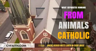 The Catholic Soul: What Makes Us Different