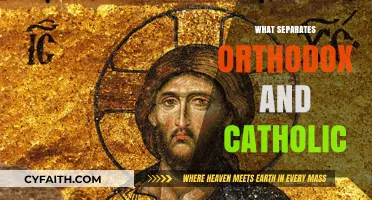 Orthodox vs. Catholic: Key Theological and Liturgical Differences Explained