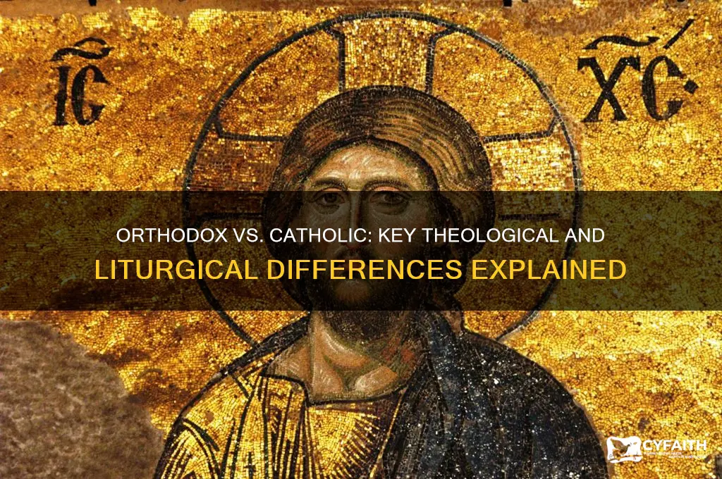 what separates orthodox and catholic