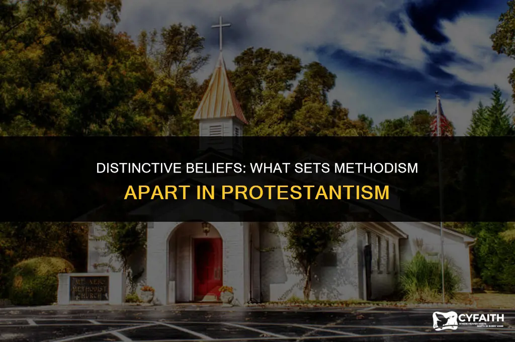 what separates the methodist sect from other protestant religions