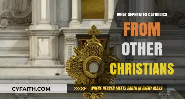 Catholics: What Sets Us Apart in Christianity