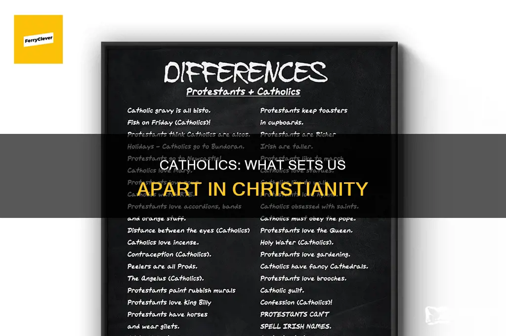 what seperates catholics from other christians
