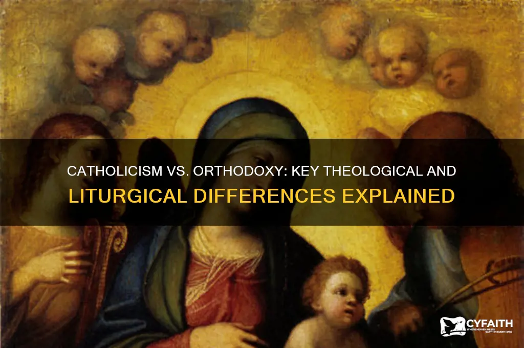 what seperates catholism from orthodoxy