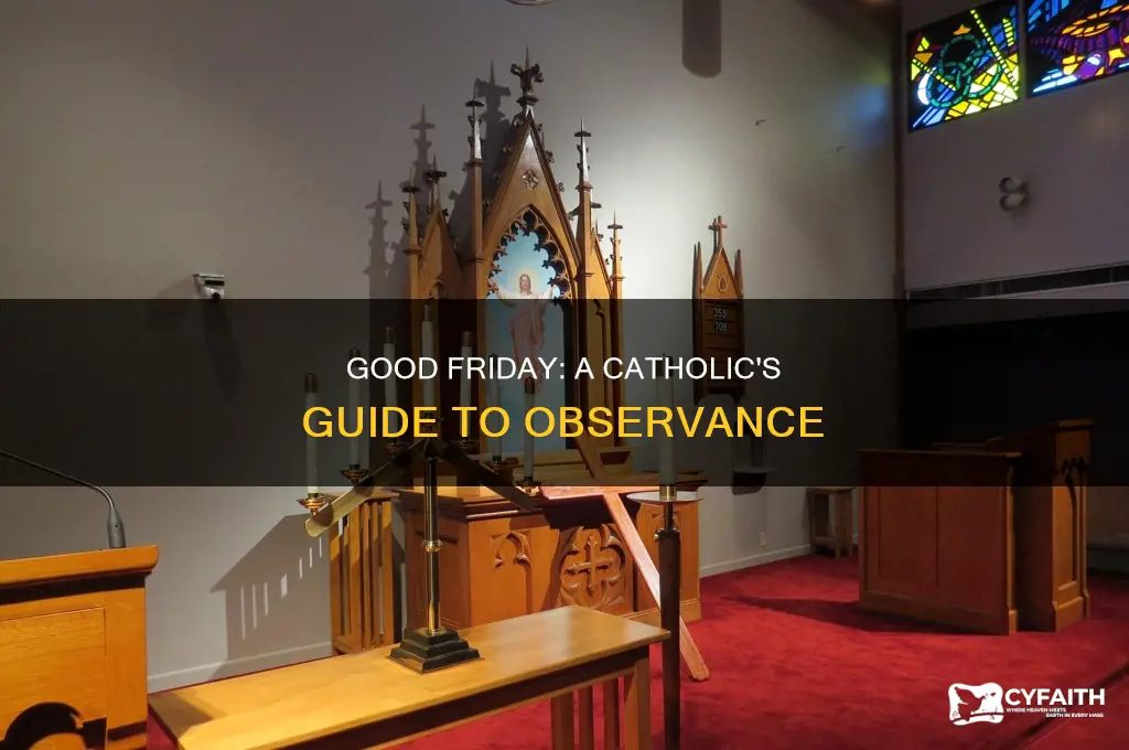 what should a catholic do on good friday