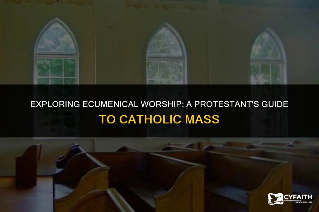 what should a protestant do at a catholic mass
