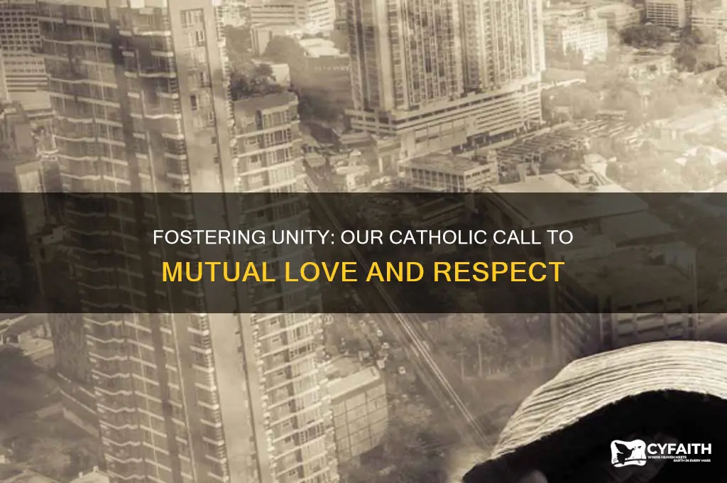 what should be our attitude towards each other catholic