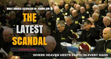Catholic Scandal: Urgent Questions for Accountability and Church Reform