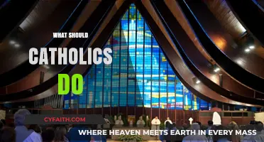 What Should Catholics Do: Living Faithfully in Today's World