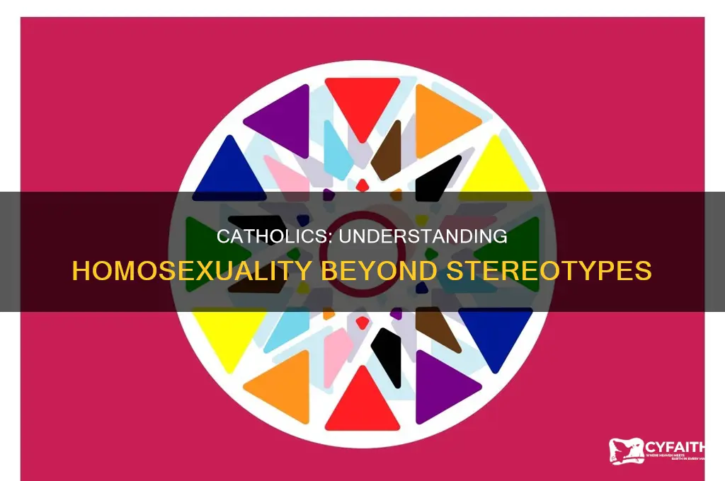 what should catholics say instead of homosexual lifestyle