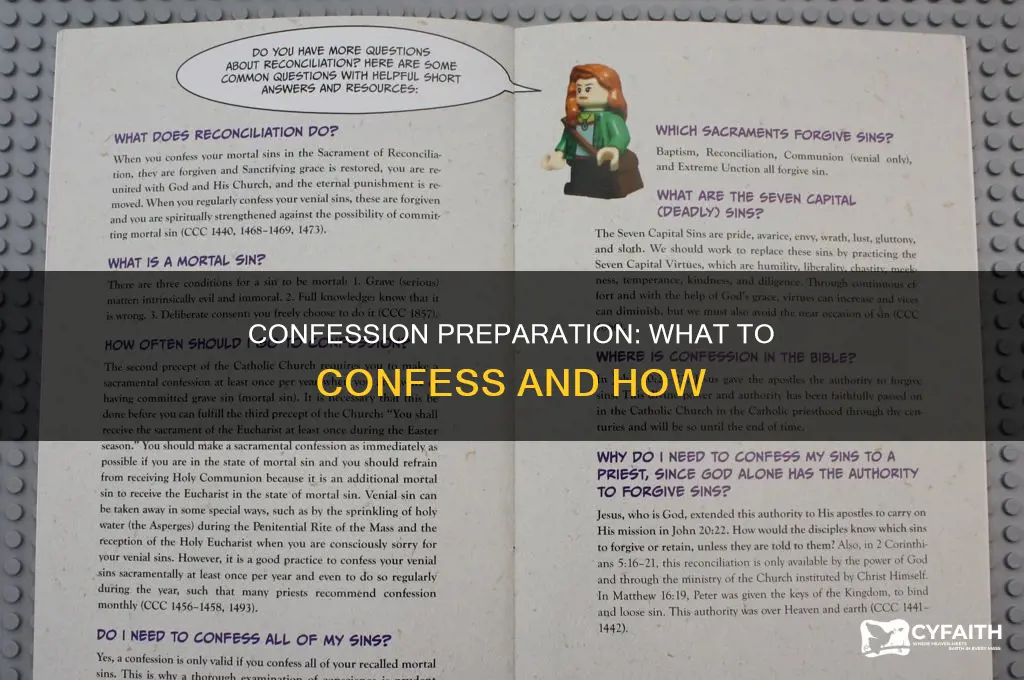 what should i confess at catholic confession