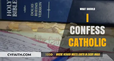Catholic Confession Guide: What to Confess for Spiritual Renewal
