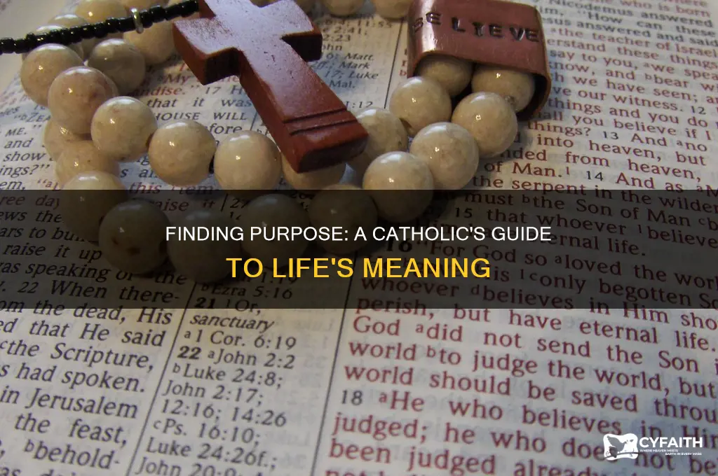 what should i do with my life catholic