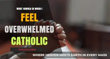 Finding Peace: Overwhelmed Catholic's Guide