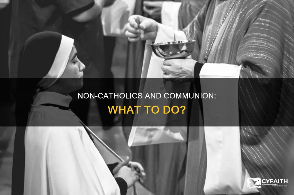 what should non catholics do during communion