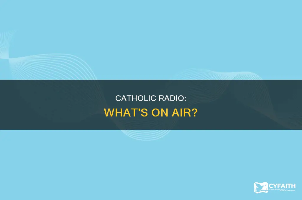 what shows are on the catholic radio