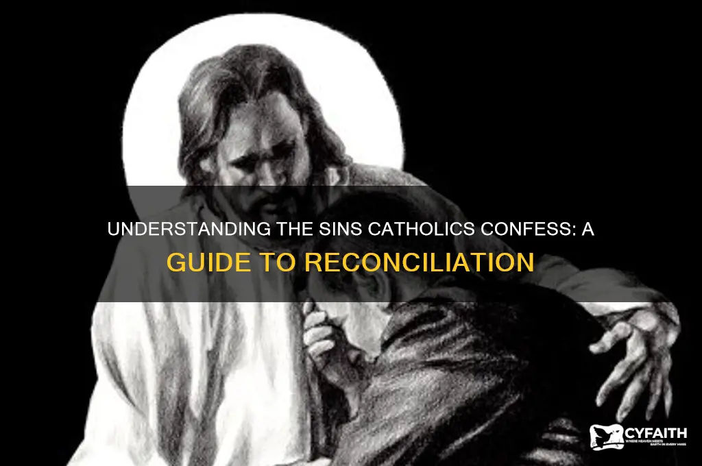 what sins do catholics confess
