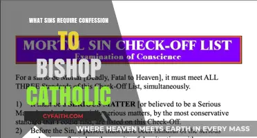 Confessing Mortal Sins: When to See a Bishop