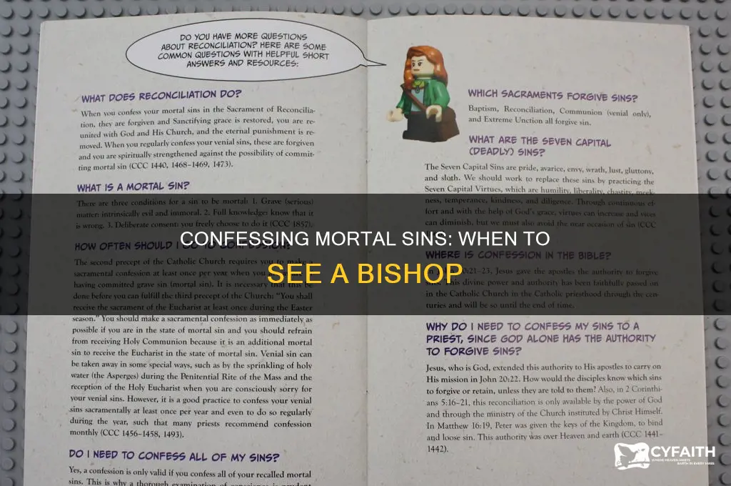 what sins require confession to bishop catholic
