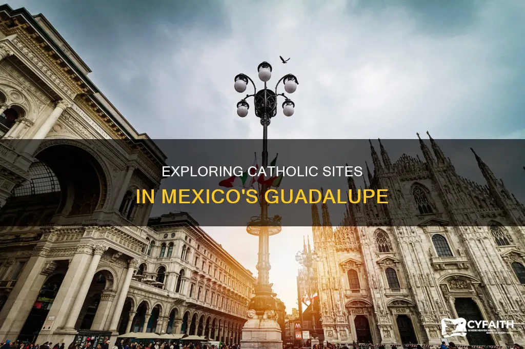 what site woul catholics see in guadalope mexico