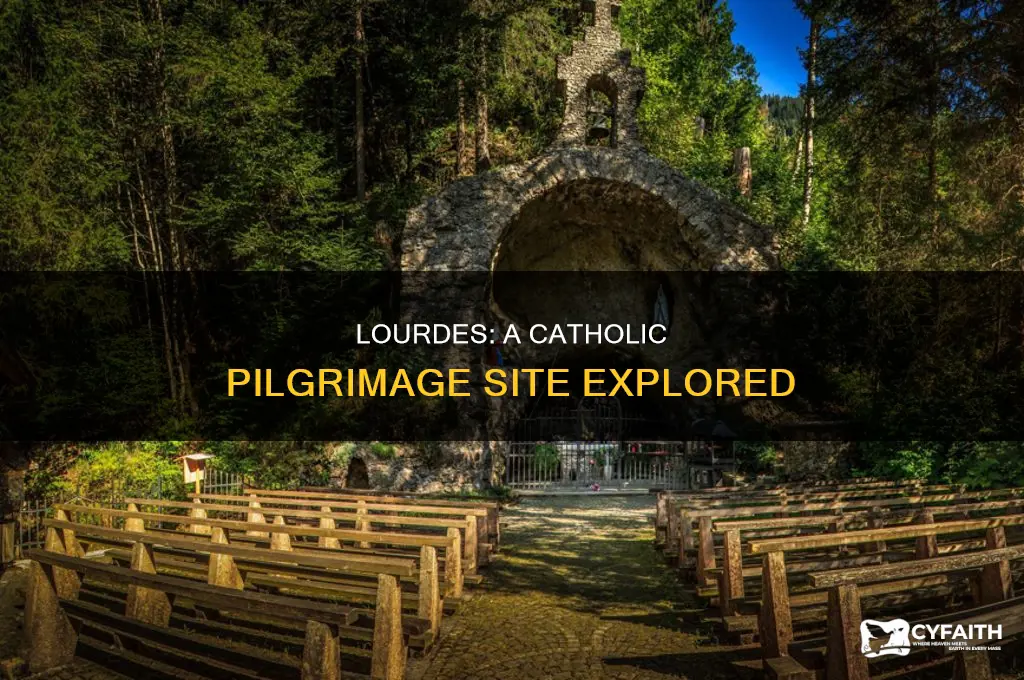 what site would catholics see in lourdes