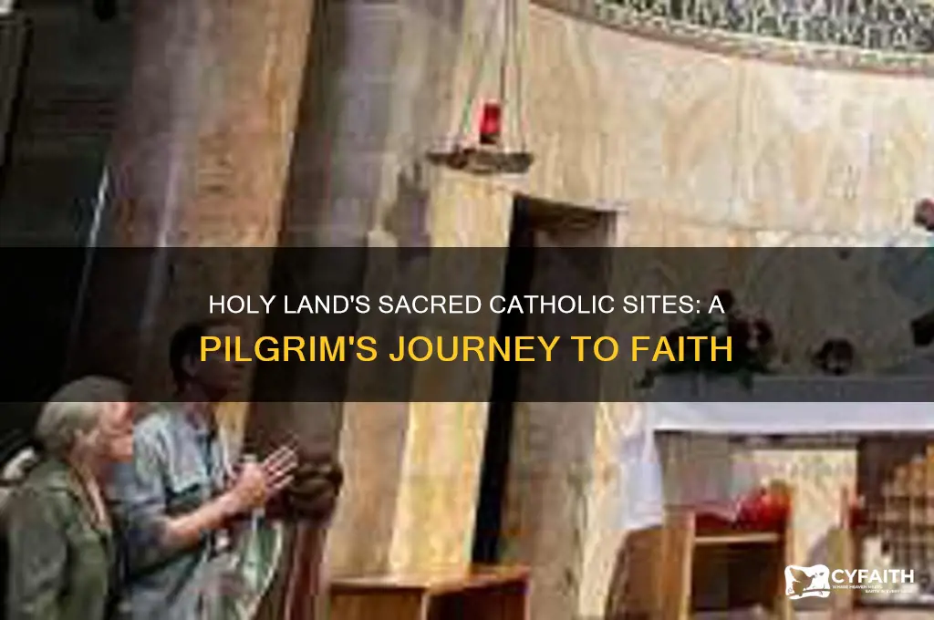 what site would catholics see in the holy land