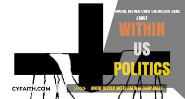 Catholic Social Teachings: Key Issues Shaping U.S. Political Engagement