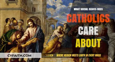 Catholics' Social Justice: Key Issues and Concerns