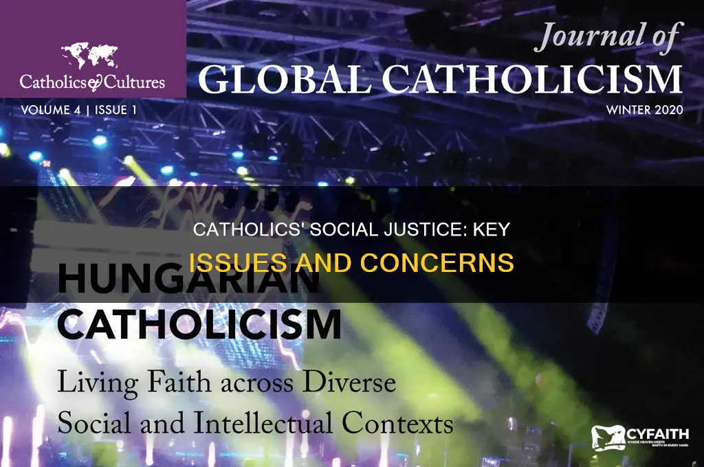 what social issues does catholics care about