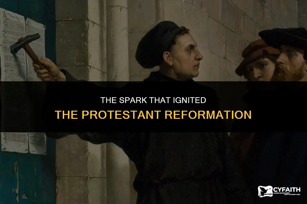 what sparked the protestant movement