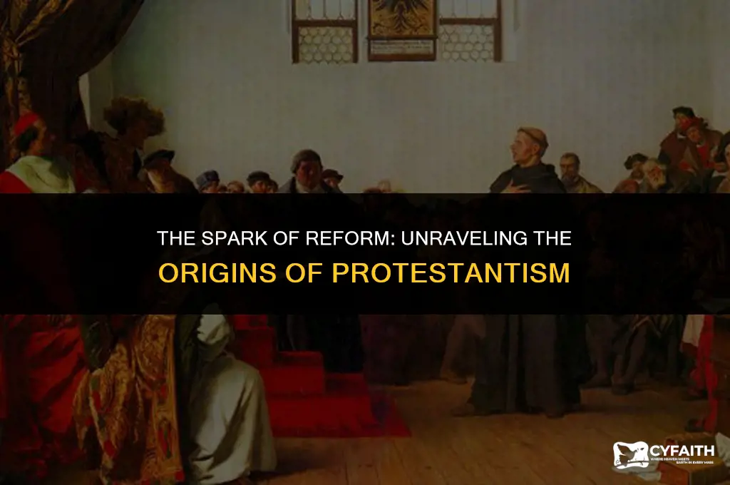 what spawned the protestant reformation