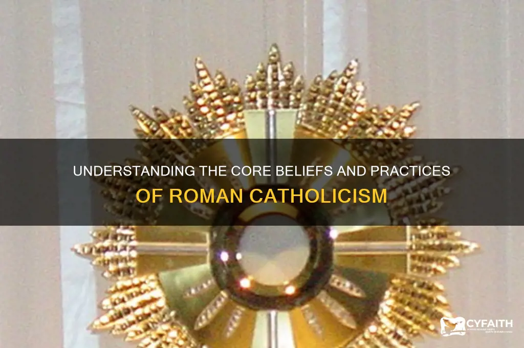 what sroman catholic