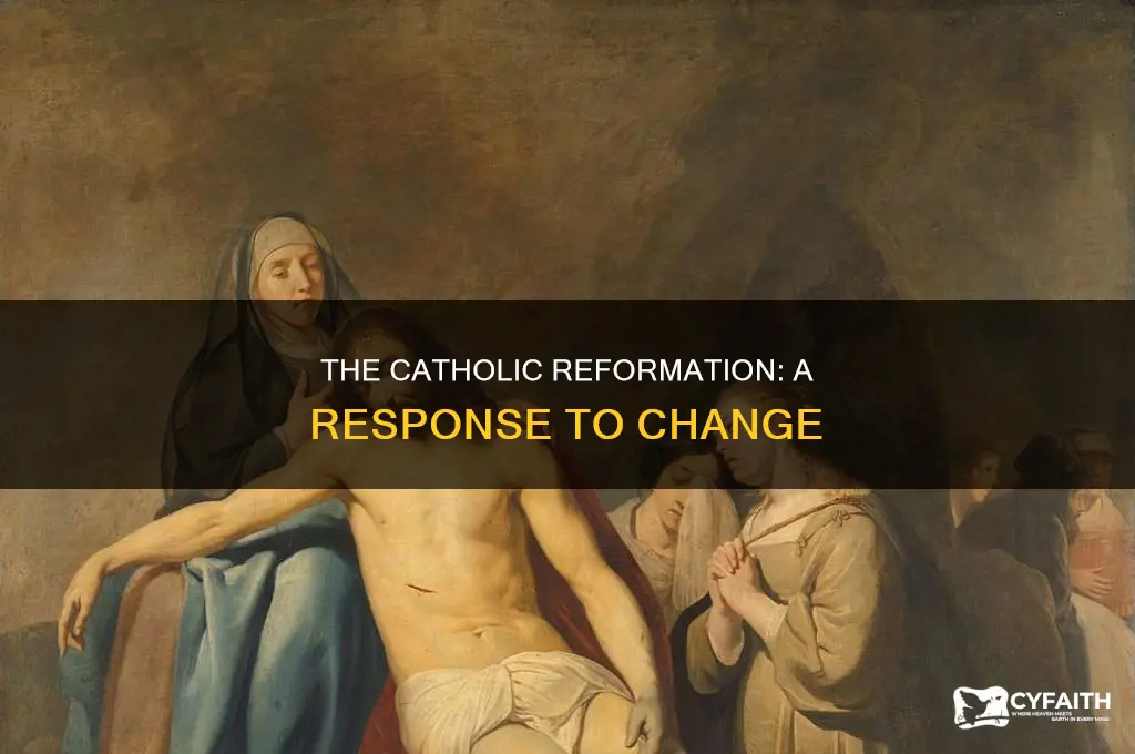 what started the reformation catholic view