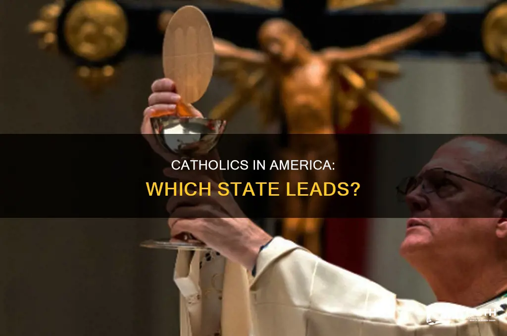 what state had the most catholics