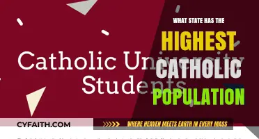 Catholic Population: Which US State Leads?