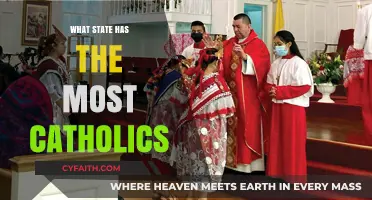 The Catholic States: Where Are Most of the US Catholics?