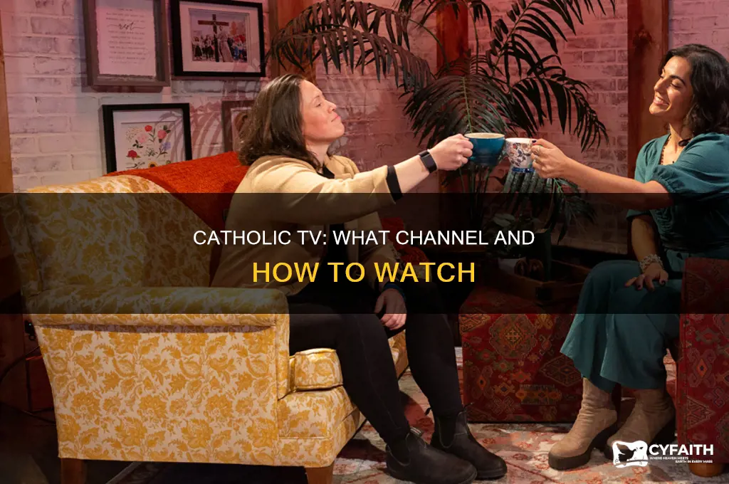 what station is catholic television on hd