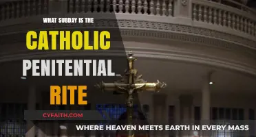 The Catholic Penitential Rite: A Sacred Sunday Affair